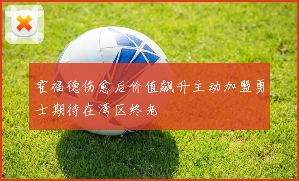 霍福德伤愈后价值飙升主动加盟勇士期待在湾区终老