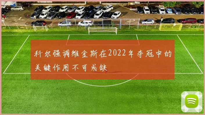 科尔强调维金斯在2022年夺冠中的关键作用不可或缺