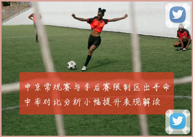 申京常规赛与季后赛限制区出手命中率对比分析小幅提升表现解读